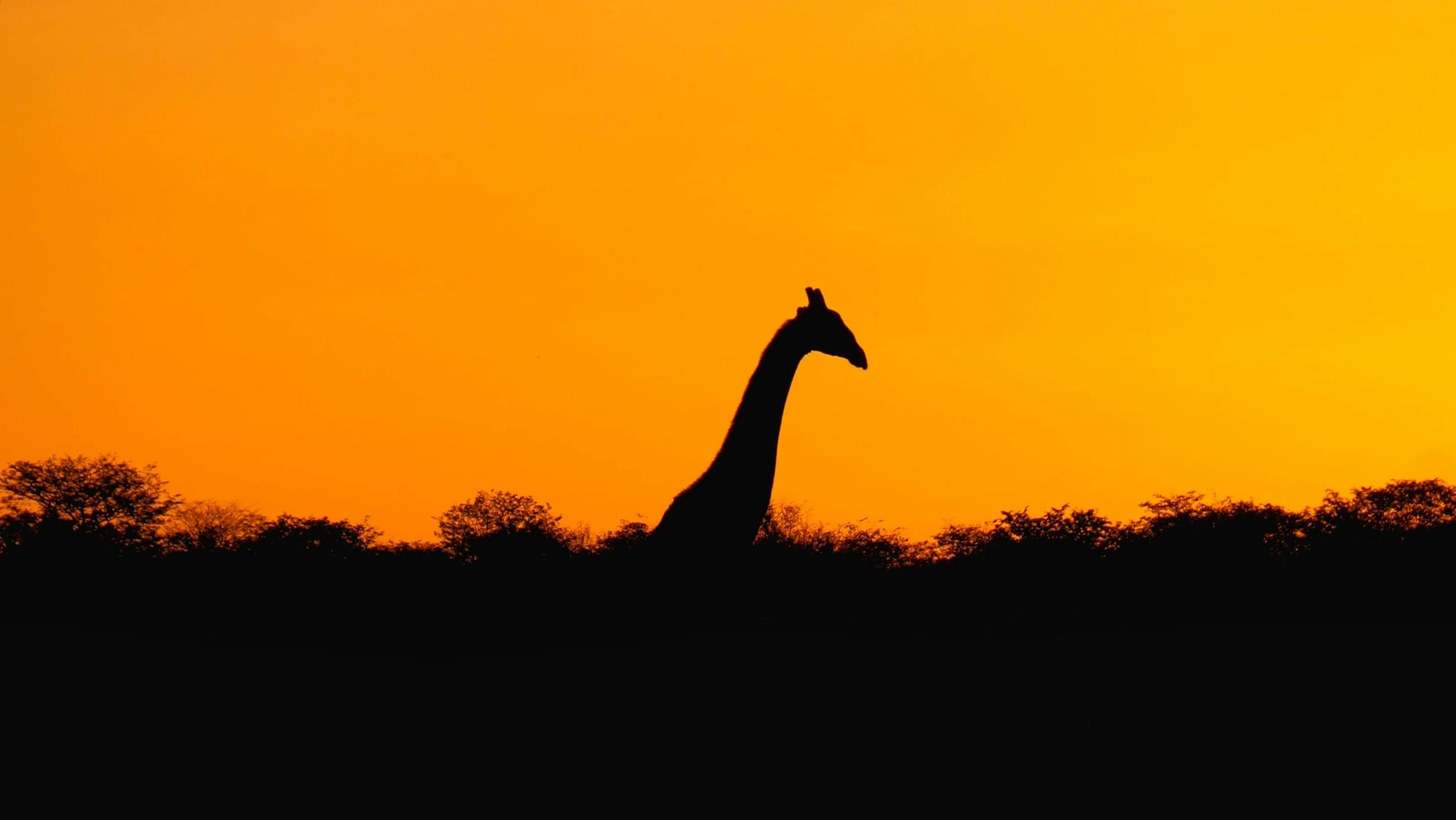 Namibie-sean-robertson-Y8cr-R_i1vg-unsplash