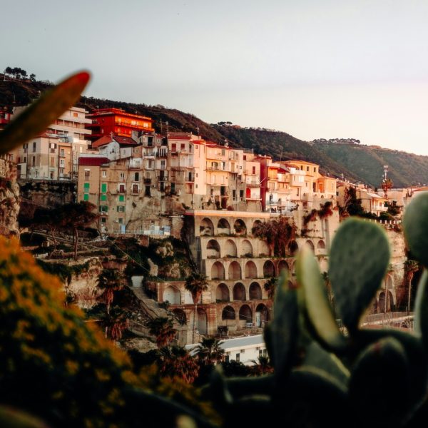 CAL_daniel-j-schwarz-kZf-DPqIlRs-unsplash