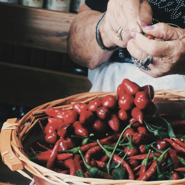 CAL_francesca-magurno-WYdZFWcPYhM-unsplash