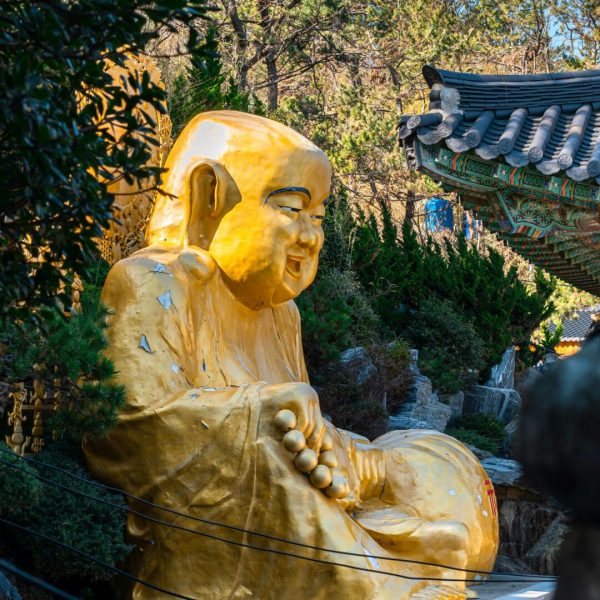 CORbudha busan
