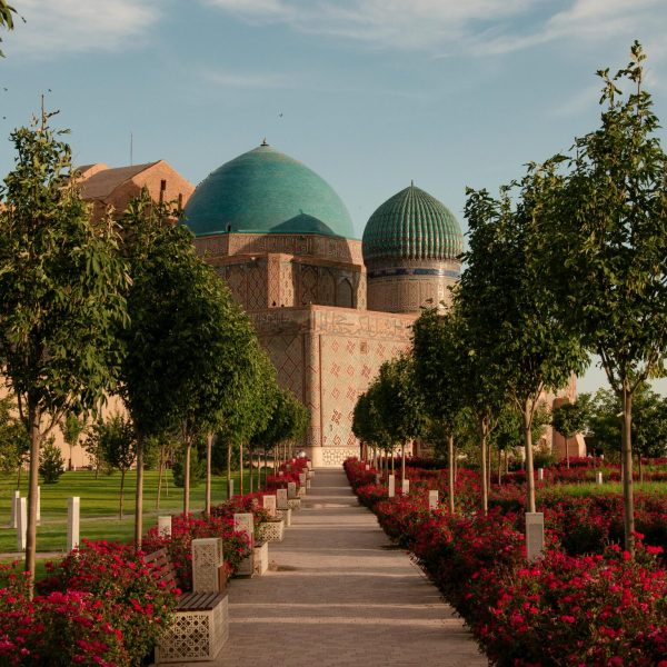 KAZ_pexels-radis-27706748