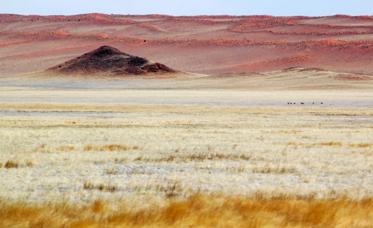 Namibie-DSC_0091.bk