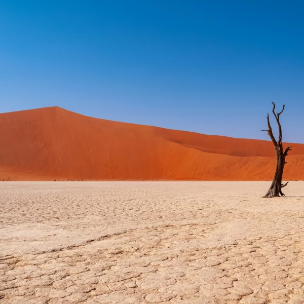 Namibie-dimitri-simon-eVWTPF5pWuE-unsplash