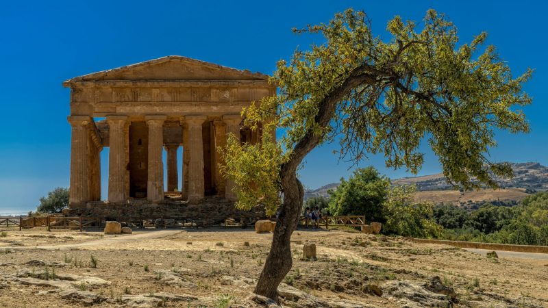 SIC_ricardo-gomez-angel-80AA-9ZZW0M-unsplash