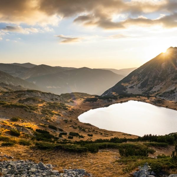 lachezar-asparuhov-JnRd6BXoOgg-unsplash