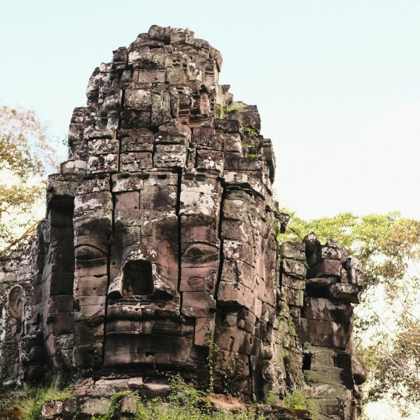 siborey-sean-932cIpDdL9g-unsplash